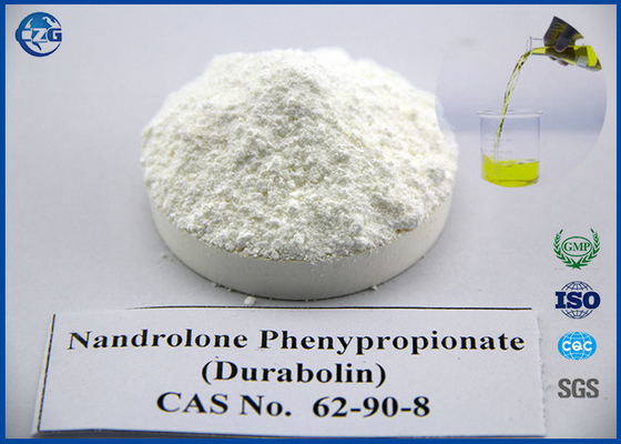 China Bodybuilding Nandrolone-Propionats-Pulver, CAS 62 90 8 Deca Hormon-Steroid fournisseur