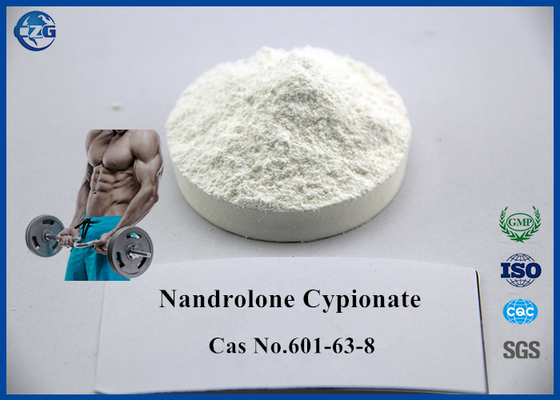 China Steroid-Pulver Muskel-Gewinnungsdecas Durabolin aufbauender Nandrolone Cypionate fournisseur
