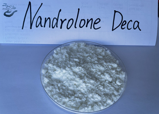 Osteoporose-rohes Steroid pulverisieren Nandrolone Decanoate CASs 360-70-3 Deca Durabolin
