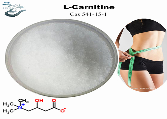 Kosmetik Rohstoffe R L Carnitinpulver zur Gewichtsabnahme CAS 541-15-1 Bauchfettverbrennerpulver