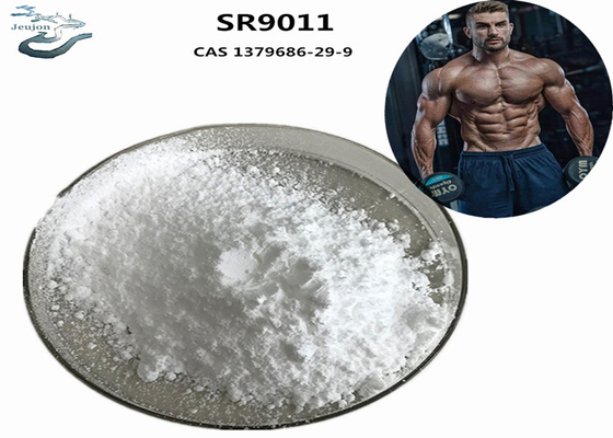 Fitnessstudio Pulver Sarm Ergänzung Bodybuilding SR9011 CAS 1379686-29-9 Für den Muskelaufbau