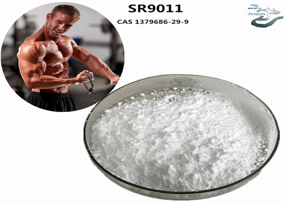 SR9011 Sarms Fettverbrennung Gymnasepulver CAS 1379686-29-9 Bodybuilding Ergänzung