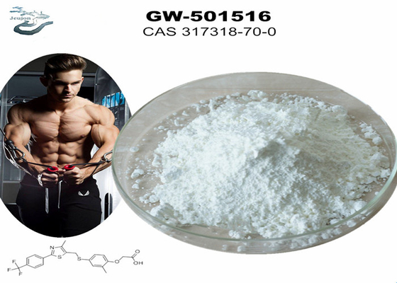 GW 501516 GSK-516 Sarms Gym Pulver für Bodybuilding CAS 317318-70-0