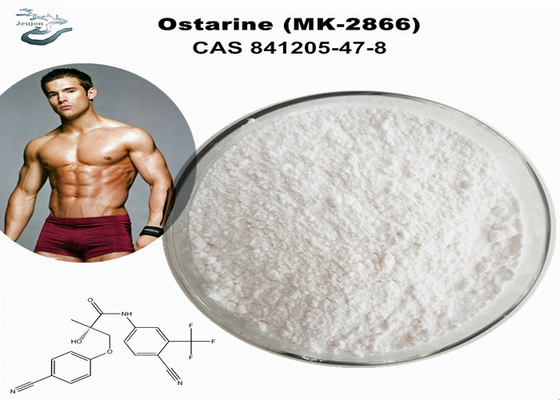Ostarine Enobosarm MK 2866 Sarms Pulver zur Gewinnung von Muskelmasse